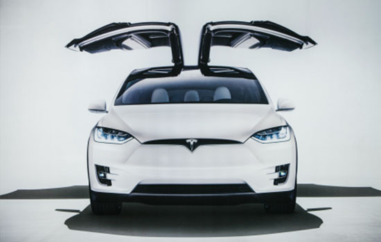Tesla X with Gull Wing Doors, tinting information